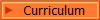 Curriculum